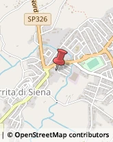 ,53049Siena