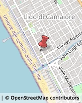 Locali, Birrerie e Pub Camaiore,55041Lucca