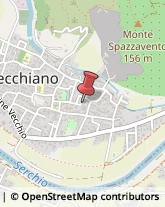 Onoranze e Pompe Funebri Vecchiano,56019Pisa