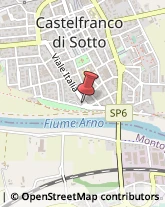 Piante e Fiori - Dettaglio Castelfranco di Sotto,56022Pisa