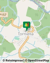 Torni,58036Grosseto