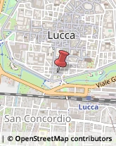 Pubblicità - Consulenza e Servizi Lucca,55100Lucca