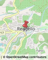 Pedagogia - Studi e Centri Reggello,50066Firenze