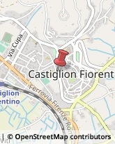 Fiere, Saloni e Mostre - Enti Organizzatori Castiglion Fiorentino,52043Arezzo