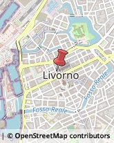 Scuole e Corsi di Lingua Livorno,57123Livorno