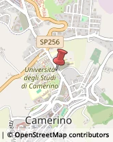 Università ed Istituti Superiori Camerino,62032Macerata