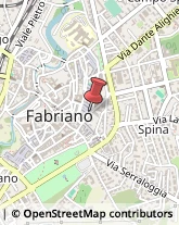 Consulenza alle Imprese e agli Enti Pubblici Fabriano,60044Ancona