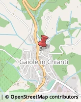 Avvocati Gaiole in Chianti,53013Siena