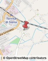 Aziende Agricole Torrita di Siena,53049Siena