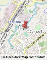 Tipografie Fabriano,60044Ancona