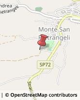 Agriturismi Monte San Pietrangeli,63010Fermo