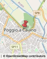 Stampa Digitale Poggio a Caiano,59016Prato