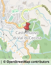 Recupero Crediti Castelnuovo di Val di Cecina,56041Pisa