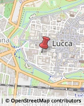 Assicurazioni,55100Lucca