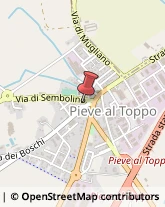 ,52041Arezzo