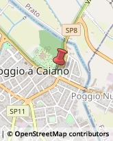 Abbigliamento,59016Prato