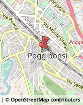 Turismo - Consulenze Poggibonsi,53036Siena