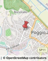 Locali, Birrerie e Pub Poggio a Caiano,59016Prato