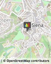 Scale,53100Siena