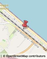 Pensioni Senigallia,60019Ancona