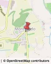 Pelliccerie Monterado,60010Ancona