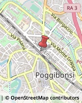 Articoli per Ortopedia Poggibonsi,53036Siena