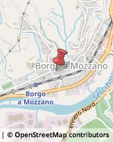 Associazioni Sindacali Borgo a Mozzano,55023Lucca