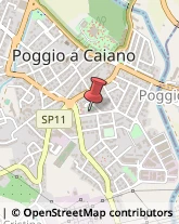 Calze e Collants - Vendita Poggio a Caiano,59016Prato