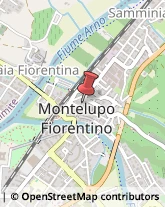 Etichette - Cartoleria Montelupo Fiorentino,50056Firenze