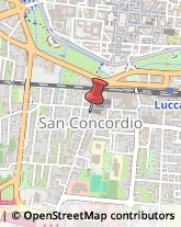 Vendite per Corrispondenza,55100Lucca