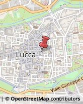 Fotografia - Studi e Laboratori Lucca,55100Lucca