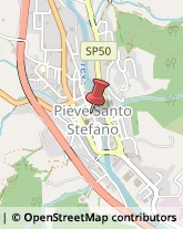 Lavori Agricoli e Forestali Pieve Santo Stefano,52036Arezzo