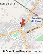 Istituti di Bellezza Torrita di Siena,53049Siena