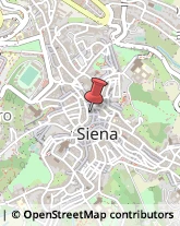 Consulenze Speciali Siena,53100Siena