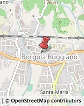 Trasporti Buggiano,51011Pistoia