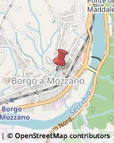 Psicologi Borgo a Mozzano,55023Lucca