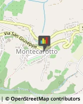 Bar e Caffetterie Montecarotto,60036Ancona