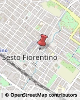 Piante e Fiori - Ingrosso Sesto Fiorentino,50019Firenze