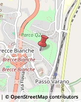 Scuole Materne Private Ancona,60131Ancona