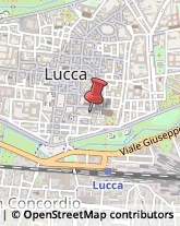 Musei e Pinacoteche Lucca,55100Lucca