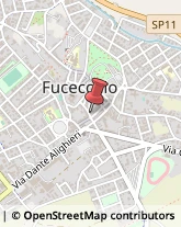 Lucernari Fucecchio,50054Firenze