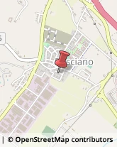 Agenti e Rappresentanti di Commercio Fano,61032Pesaro e Urbino