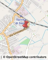 Officine Meccaniche Torrita di Siena,53049Siena