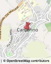 Pelletterie - Dettaglio Camerino,62032Macerata