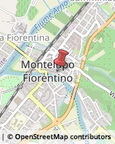 Feste - Organizzazione e Servizi Montelupo Fiorentino,50056Firenze