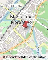 Importatori ed Esportatori Montelupo Fiorentino,50056Firenze