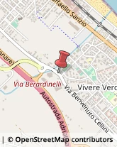 Via Berardinelli, 132,60019Senigallia