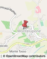 Panetterie Montelupone,62010Macerata