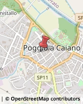 Alimentari Poggio a Caiano,59016Prato