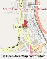 Magazzinaggio e Logistica Industriale - Attrezzature ed Impianti Ancona,60131Ancona